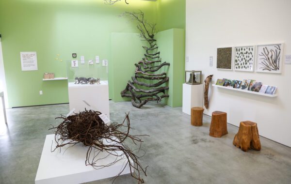 Growing Habitat: LA’s Wildlife & Descanso