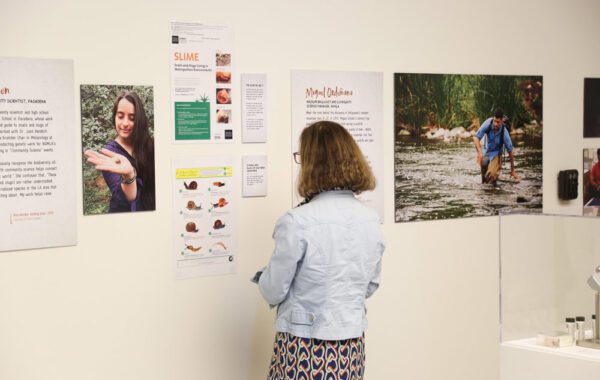 Growing Habitat: LA’s Wildlife & Descanso