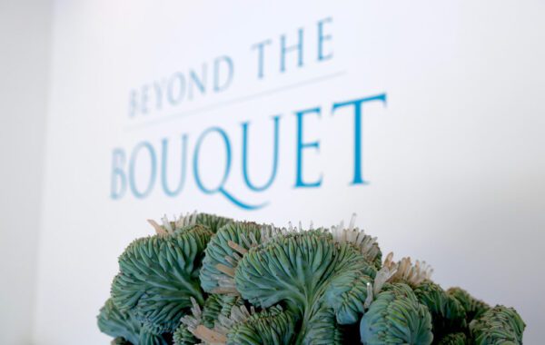 Beyond the Bouquet