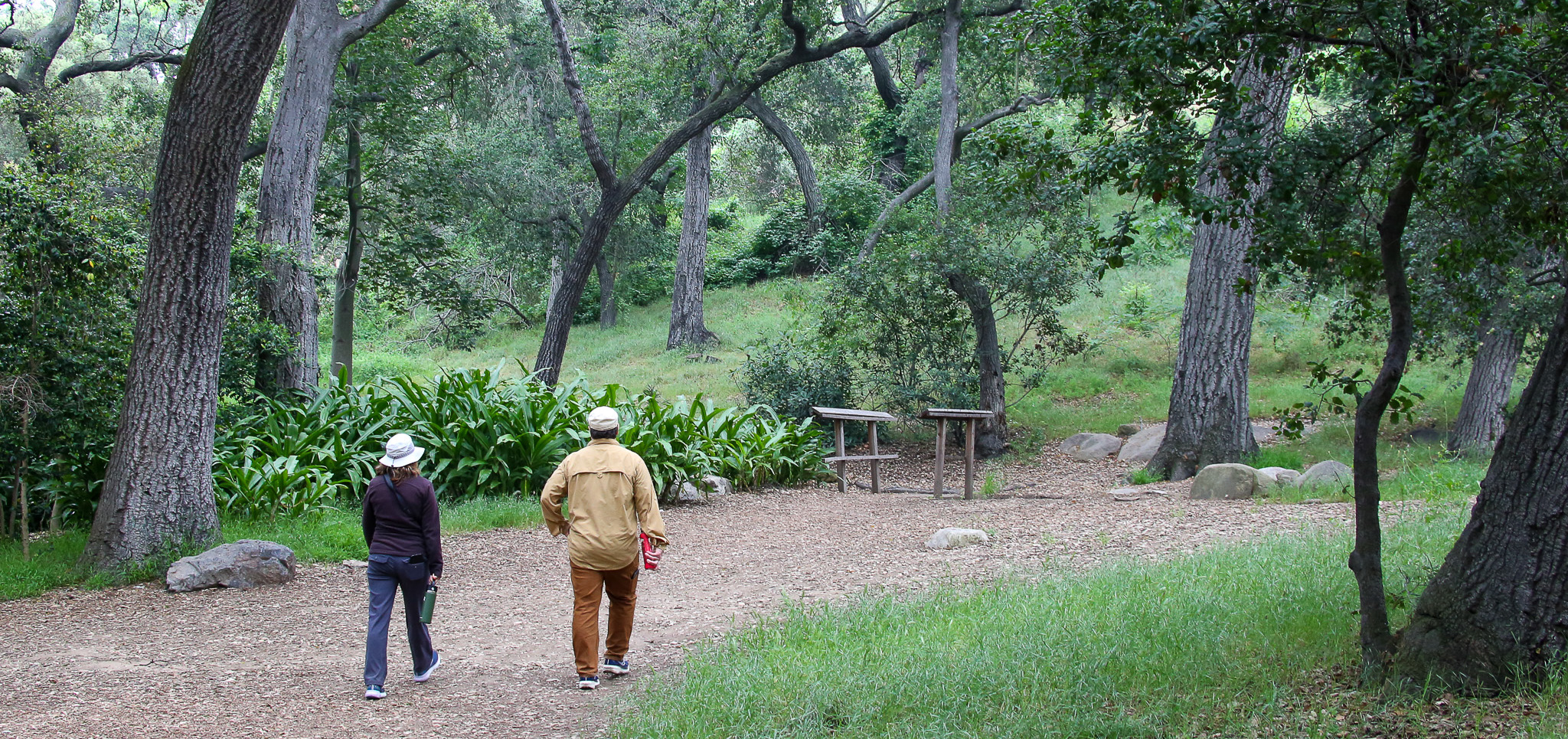 california native garden tour