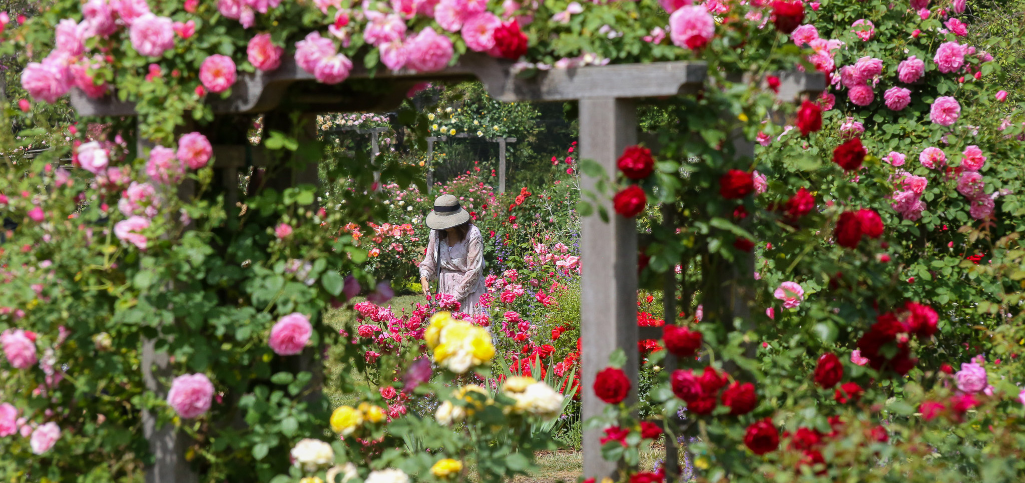 california native garden tour