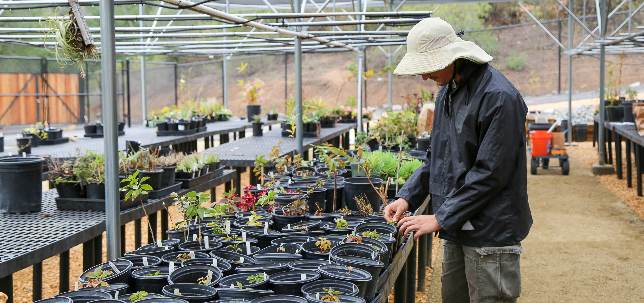 california native garden tour